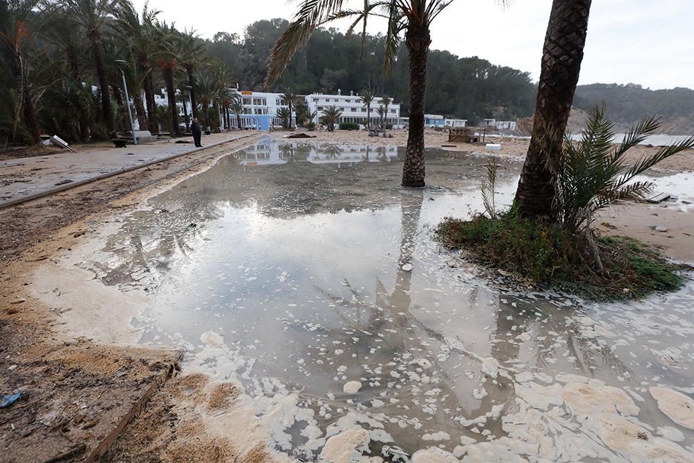 Temporal en el Port de Sant Miquel.