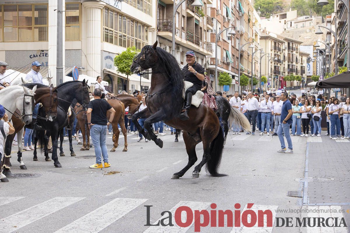 Romería de los Caballos del Vino de Caravaca, en imágenes