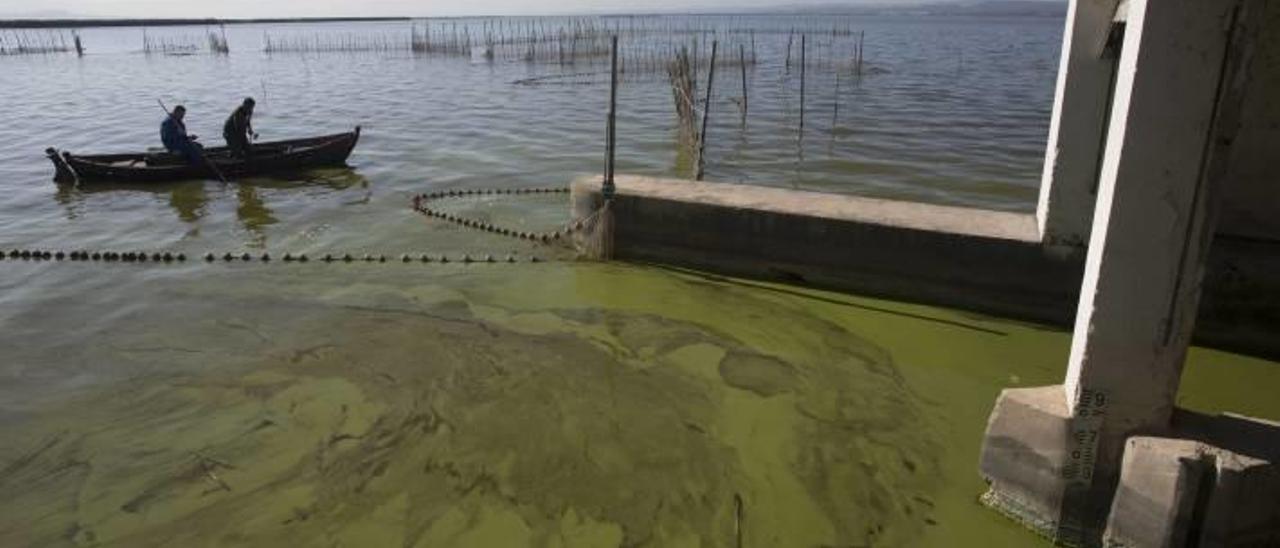 Las denuncias por las bajadas del nivel de l&#039;Albufera se remontan al año 1998