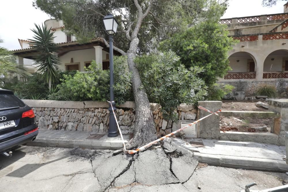 Trabajos en las zonas más afectadas por la tormenta en Baleares