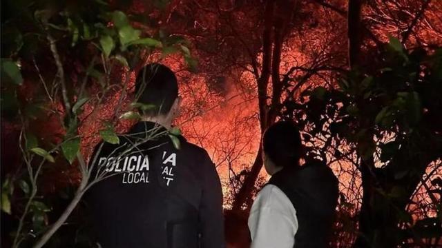 Un incendi declarat en febrer al costat del riu a Carcaixent va obligar a tallar la circulació de trens i va causar danys en el Pont de Ferro
