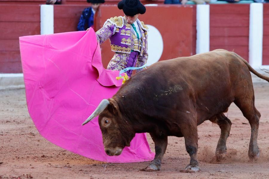 Tarde de toros en Zamora