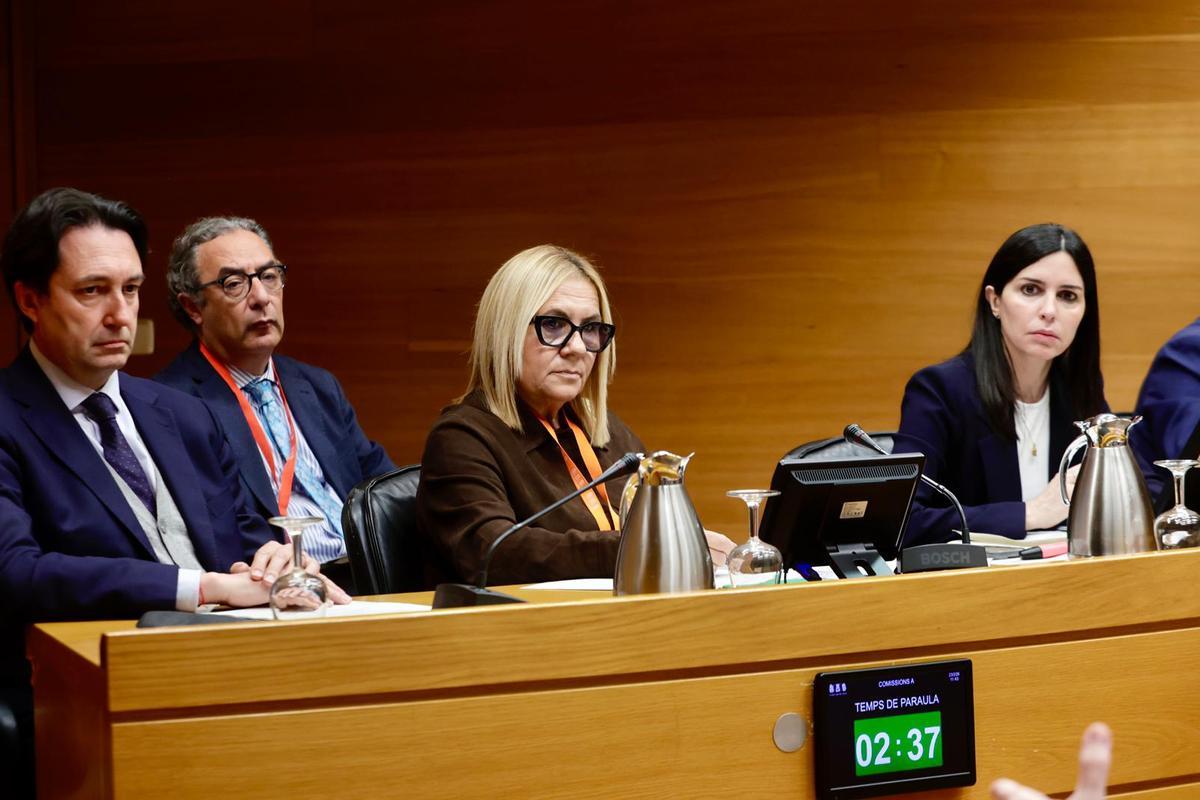 Asociaciones de víctimas declaran en la Comisión de la dana en las Corts