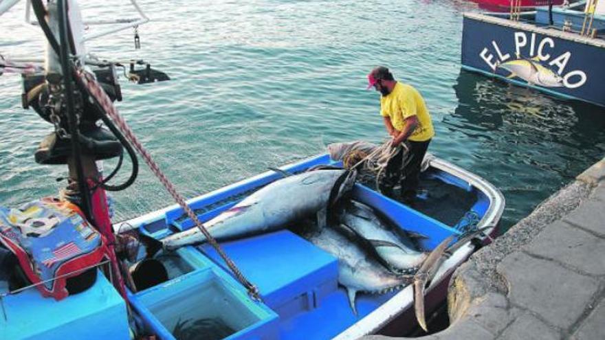 La flota canaria tendrá hasta diciembre para agotar  la cuota de atún rojo