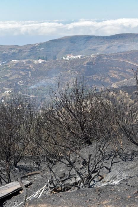 11-08-2019 Artenara. Segundo día del incendio en la cumbre  | 11/08/2019 | Fotógrafo: Andrés Cruz