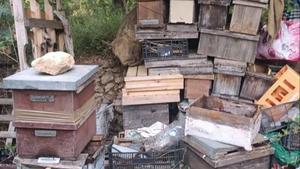 Imágenes de colmenas de abejas recuperadas por Mossos