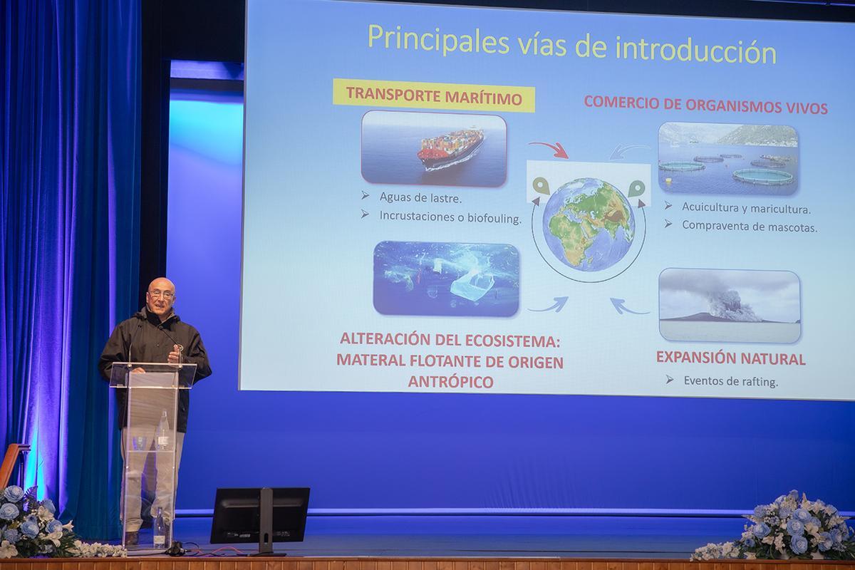 José Carlos García-Gómez, professor de la Universidad de Sevilla