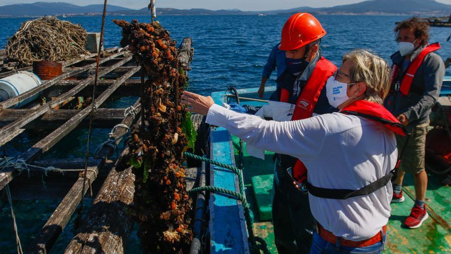 Las cofradías cargan contra los “bateeiros desalmados” y arropan a Mar