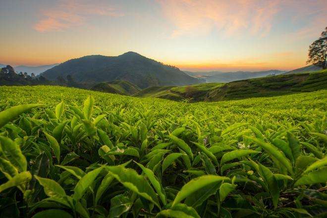 Malasia, países belleza natural