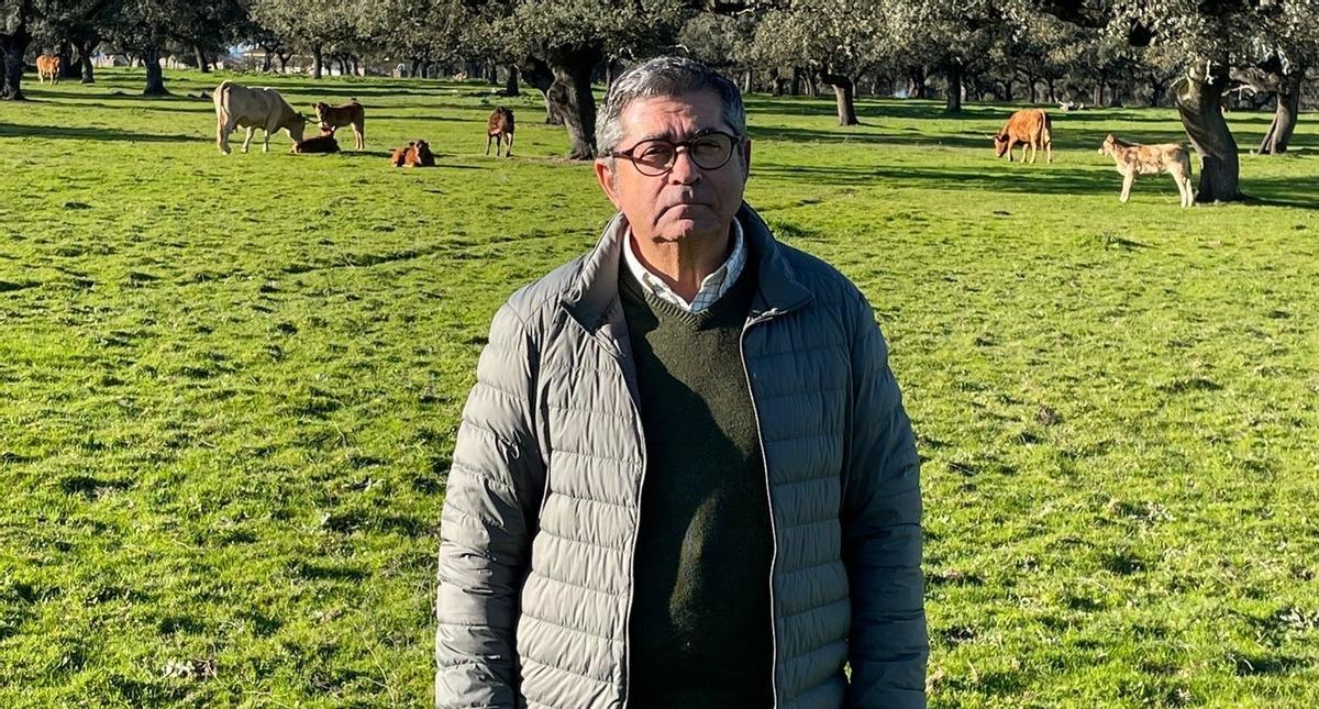 El presidente de las IGP ‘Carne de Vacuno de Extremadura', Julián Álvarez.