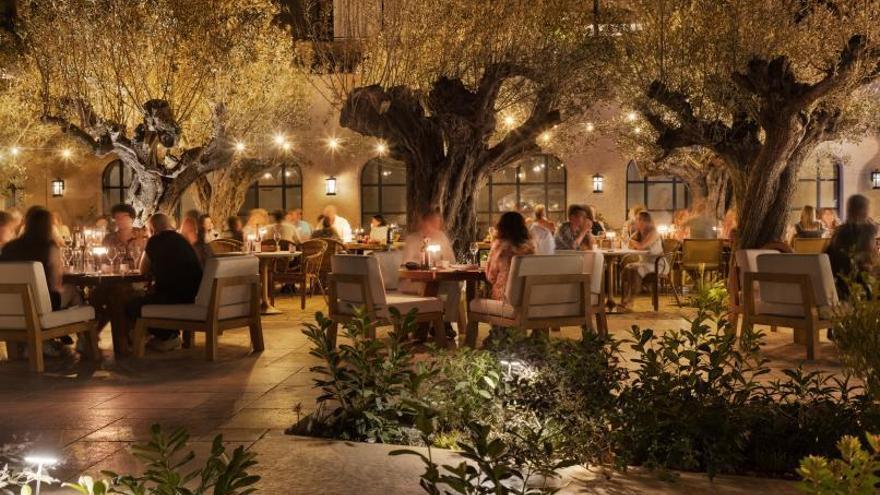 En Six Senses Ibiza se han plantado más de 31.000 arbustos y 240 árboles de 261 especies diferentes. | SIX SENSES IBIZA