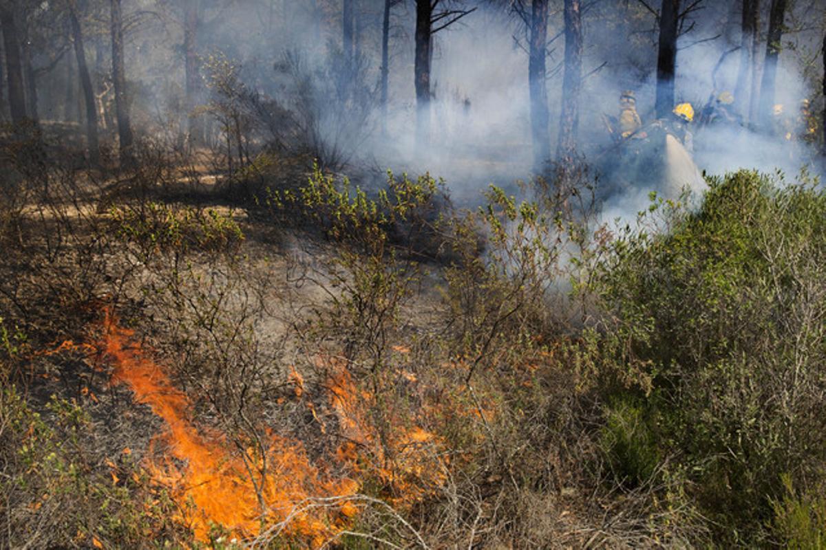 Imatge de l’incendi de Caldes de Malavella, aquest dijous.