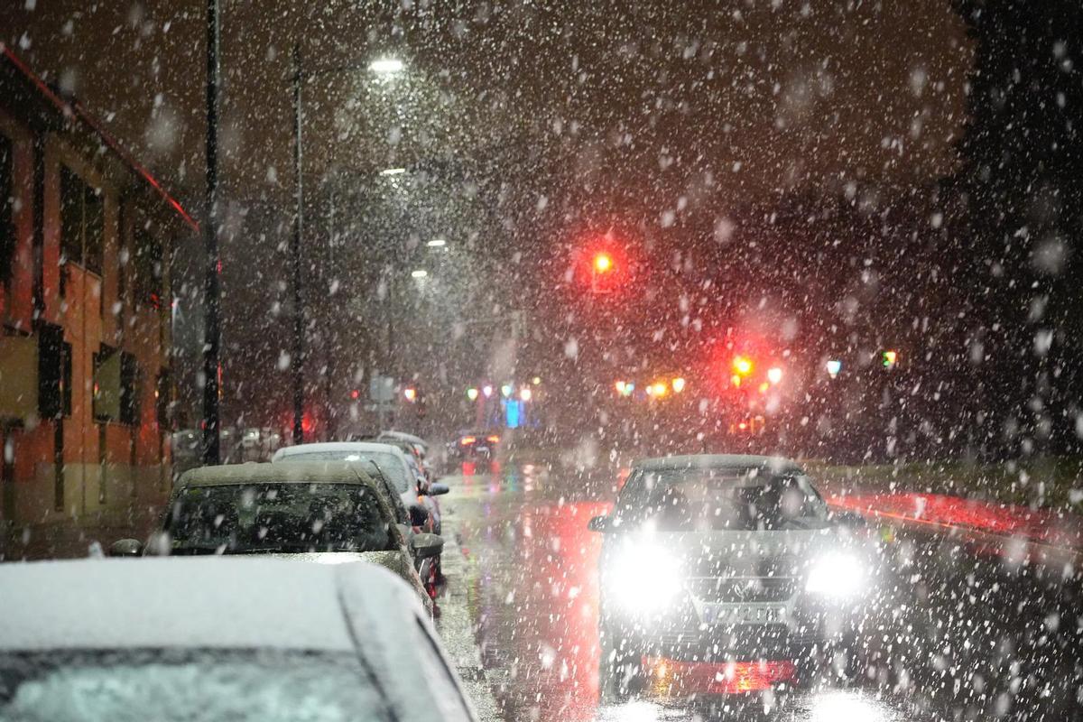 GALERÍA | Las imágenes más bonitas de la nevada de este sábado en Zamora