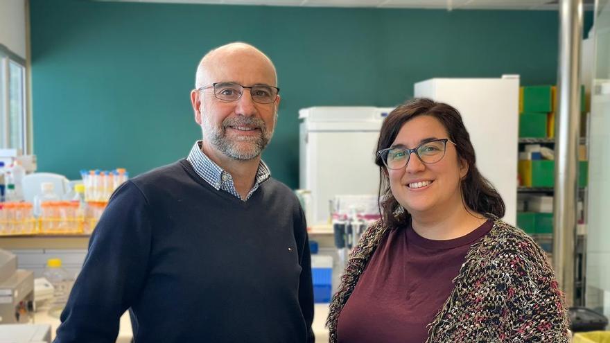 Un paciente de Oslo, el décimo caso de curación del VIH en el mundo tras un trasplante de células madre