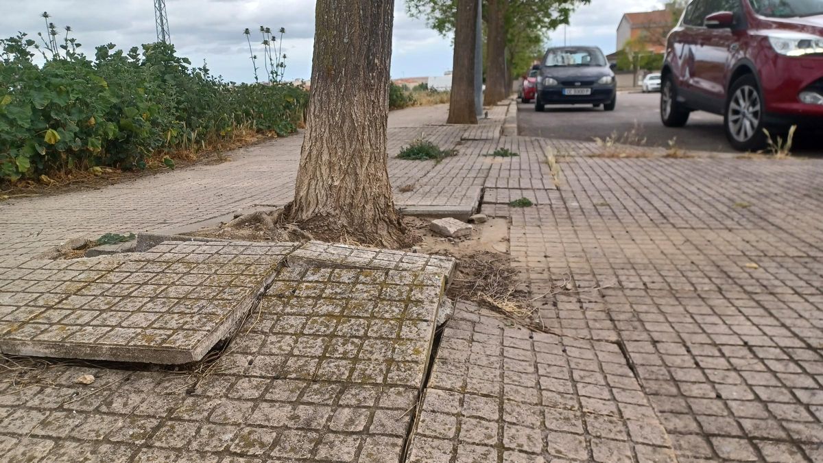 Los colectivos afirman que los avances para mejorar la movilidad han de continuar, y no descuidar los barrios.