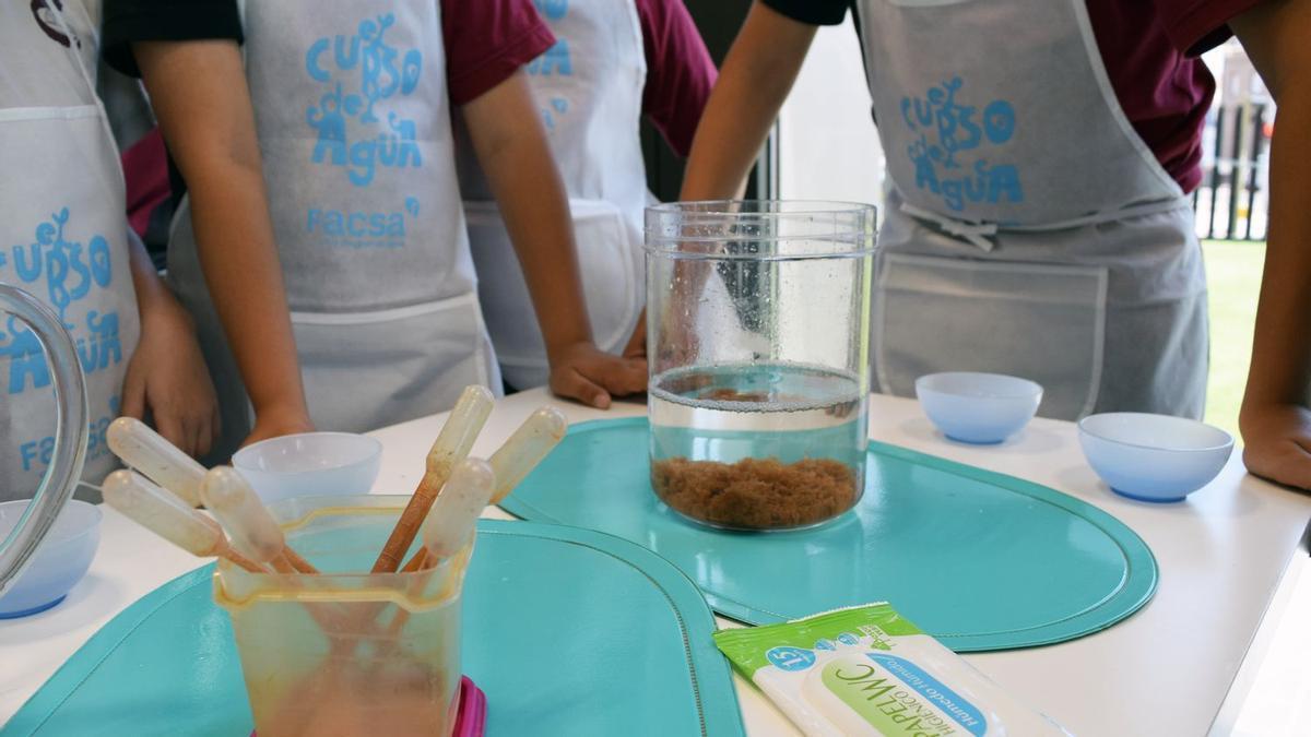 Burriana promueve la educación ambiental de 334 escolares.