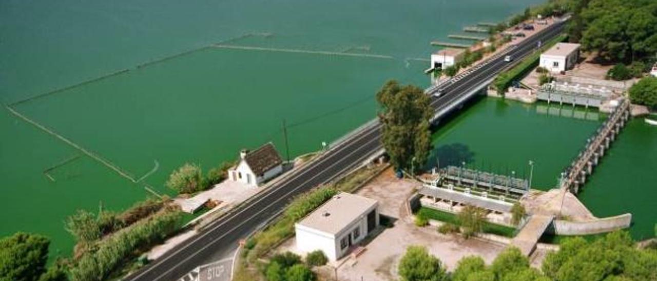 El exceso de clorofila provocado por la abundancia de nutrientes vuelve verdes las aguas del lago e impide su recuperación.