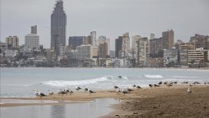 zentauroepp52867777 galeria200323154610