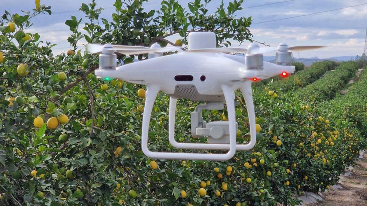 Dron usado para el cálculo de aforos en parcelas. | R. A.