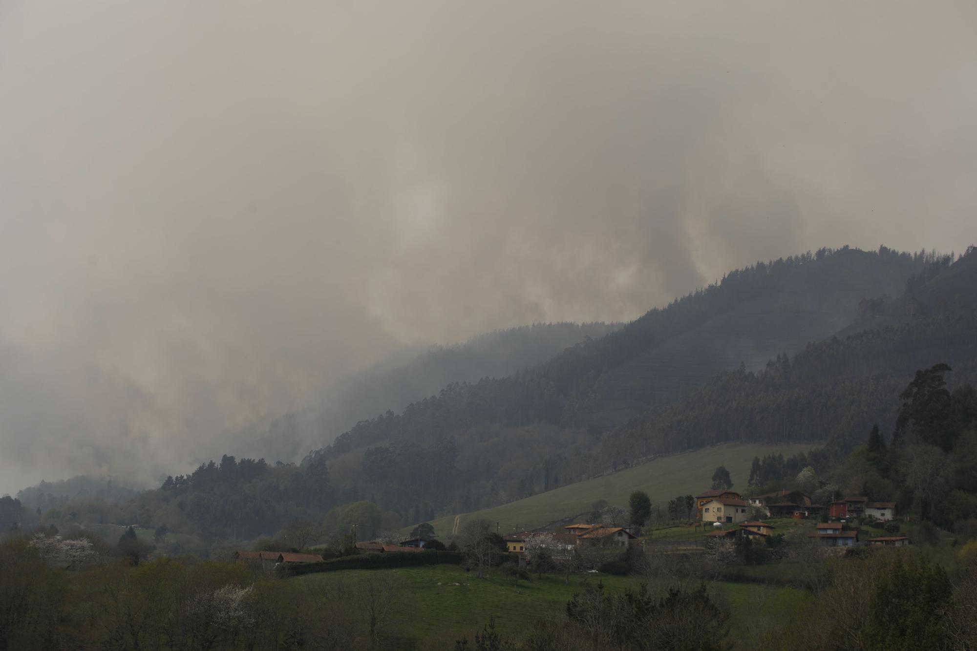 Incendio en la zona de Ques en Piloña