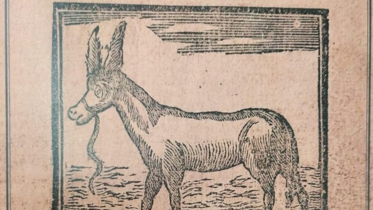 George Washington recibió como regalo de España un ejemplar de burro zamorano