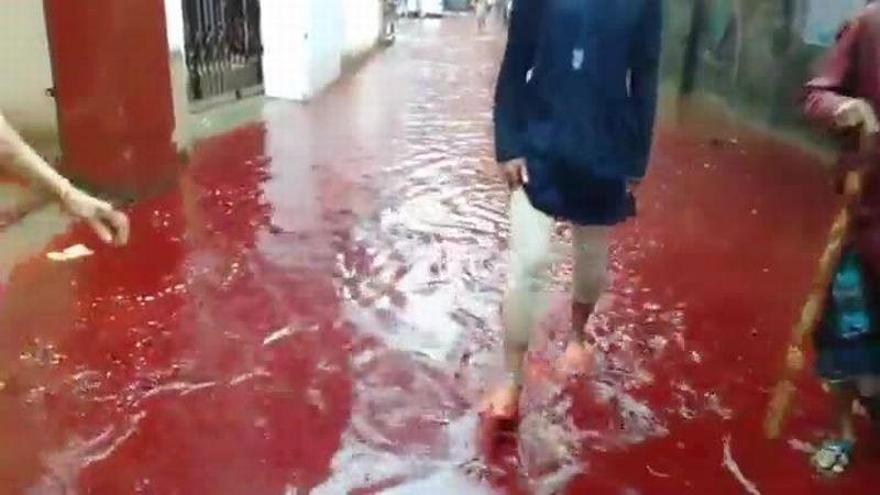 Ríos de sangre en las calles de la capital de Bangladés