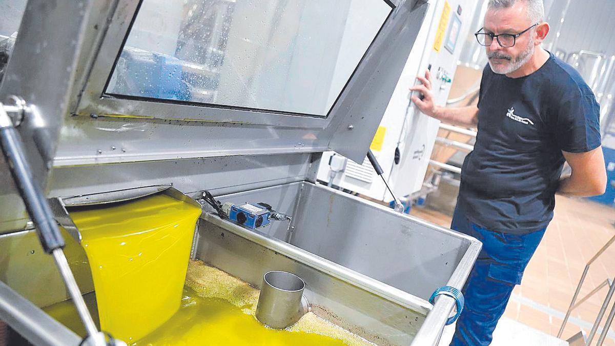 Elaboración de aceite de oliva en una almazara cordobesa durante la presente campaña.