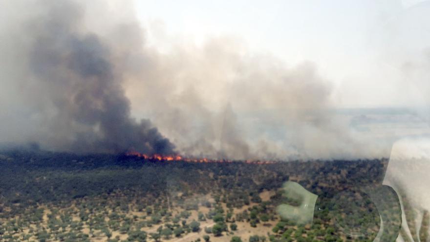 La vía férrea Medina del Campo-Zamora, cortada por un incendio en Castronuño (Valladolid)