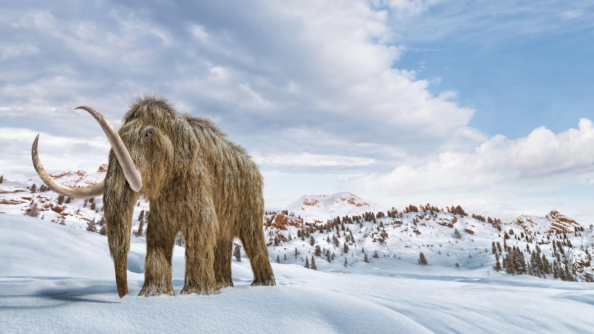 El último periodo glacial tuvo lugar hace unos 11.000 años