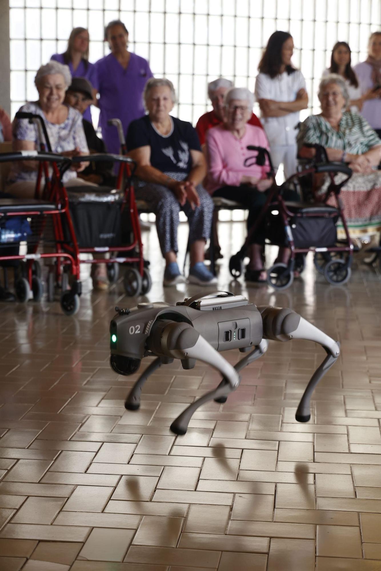 Un humanoide y un perro robot en el Hogar Provincial de Alicante