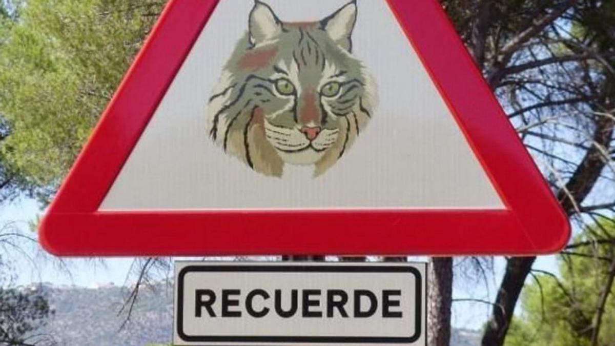 Senyal de trànsit que reclama precaució per la presència de linxs. |