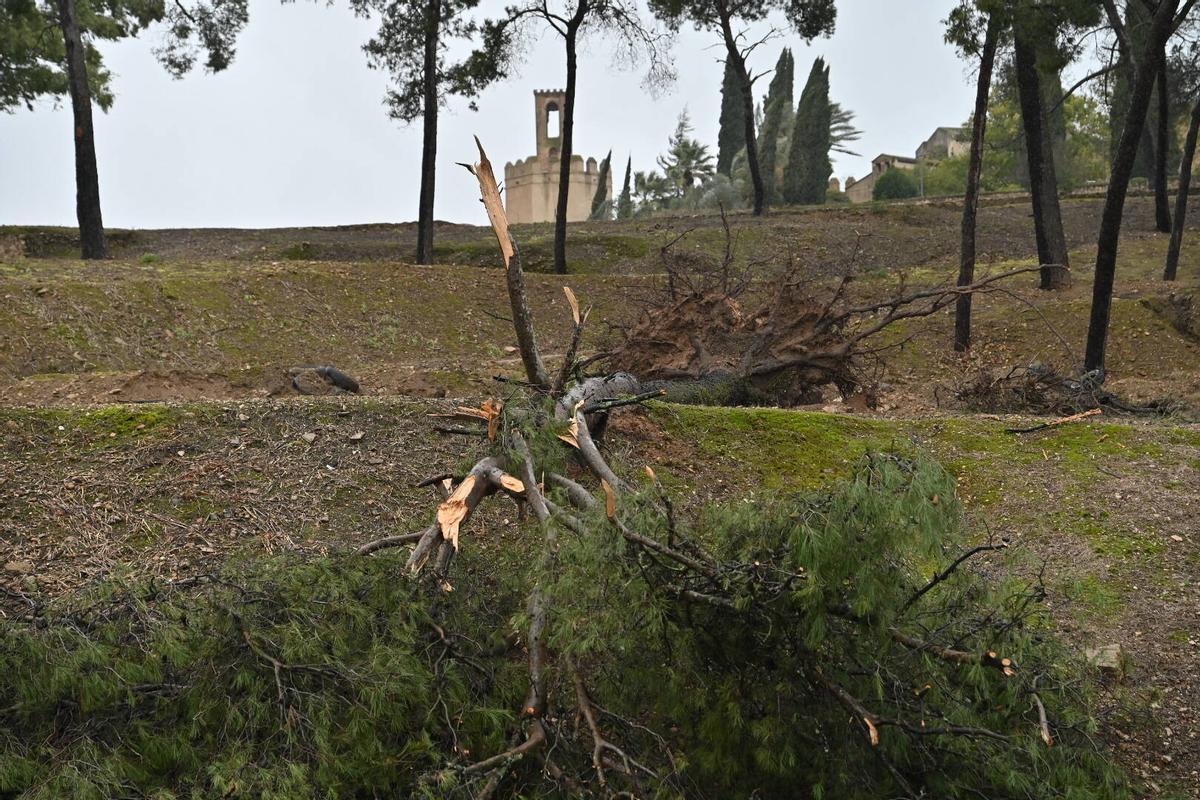 Fotogalería | Imágenes del temporal en Badajoz, este sábado