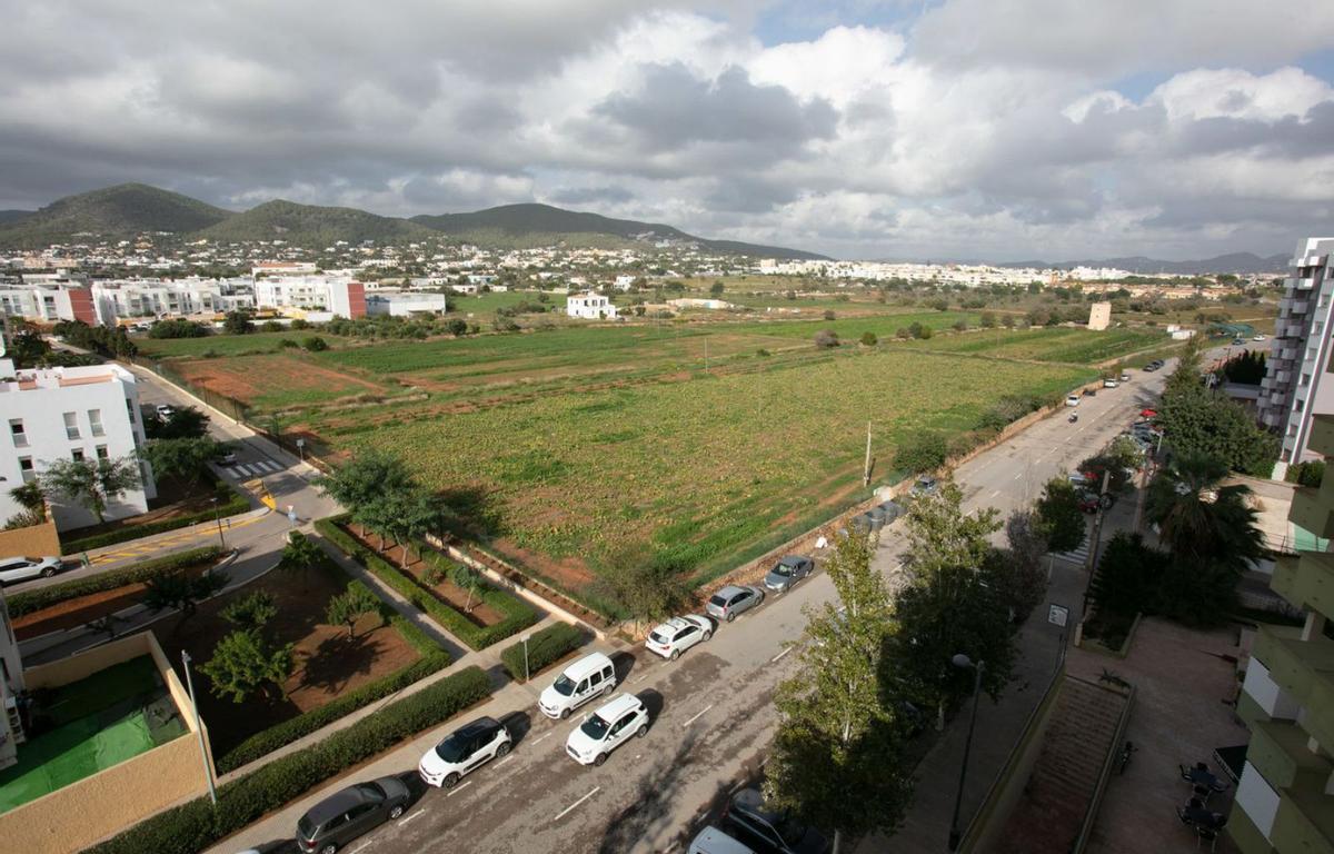 El terreno de Can Raspalls donde se proyecta construir las nuevas viviendas. | VICENT MARÍ
