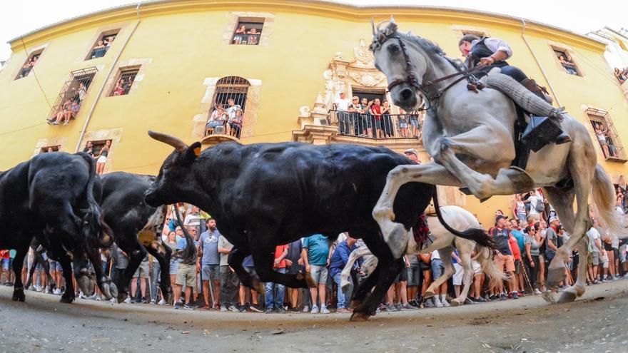 Galería: Segorbe celebra la última Entrada de Toros y Caballos con unas imágenes espectaculares