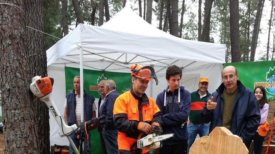 Exhibición de corta de troncos con motosierra en Asturforesta.