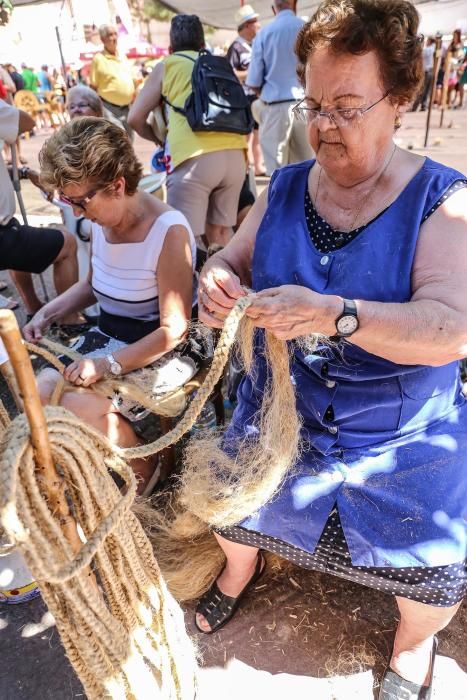 Cientos de personas asisten en Callosa de Segura a la trigésima edición dela Demostración Nacional