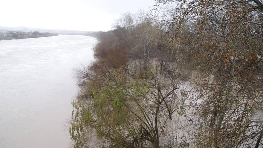 Gis Ingeniería Civil SL redactará el proyecto para recuperar el camino histórico de la Alameda del Obispo en Córdoba