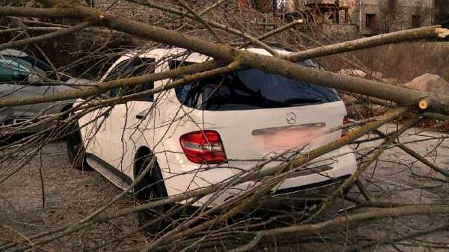 Un arbre tombat per la força del vent damunt un cotxe a Sant Julià de Cerdanyola (Berguedà)