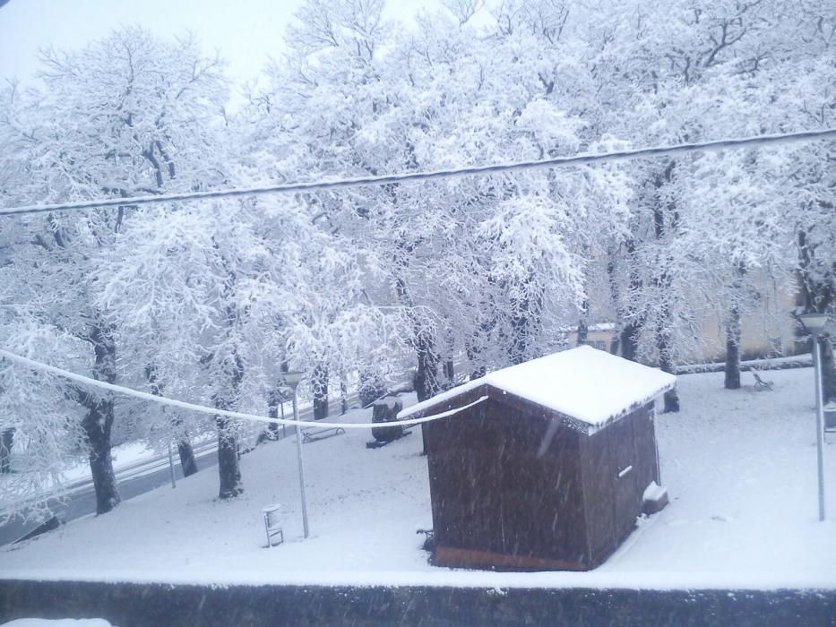 La nieve cubre de blanco la provincia de Pontevedr