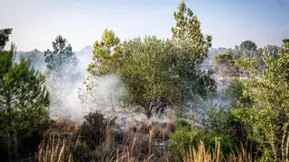 La política de 'extinción total' de incendios ha facilitado que los fuegos sean más intensos, advierten los expertos