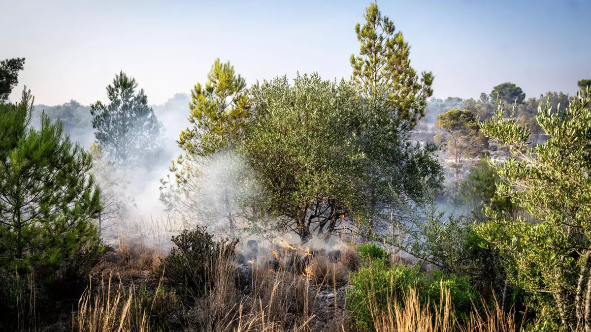 La política de 'extinción total' de incendios ha facilitado que los fuegos sean más intensos, advierten los expertos