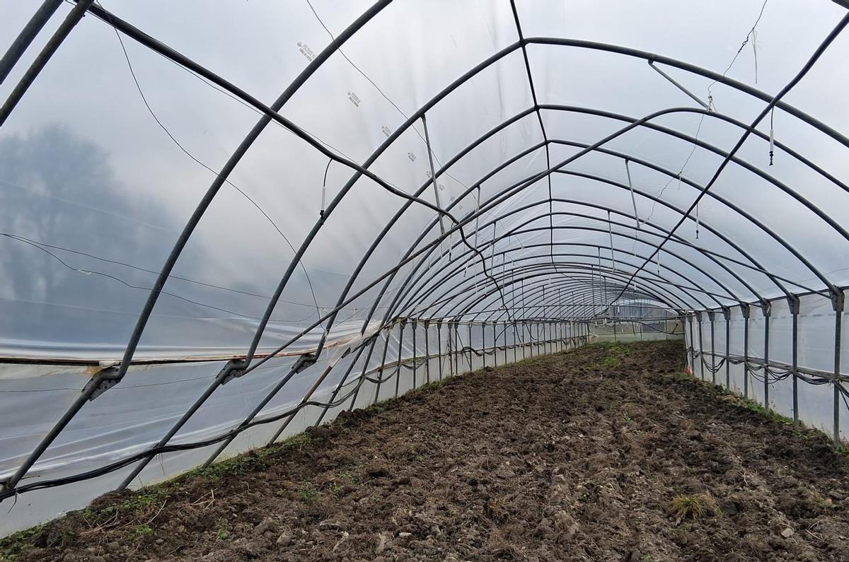 Estructura de un vivero deteriorada por un temporal de viento. | FDV