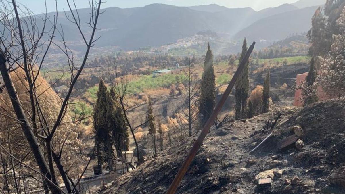 El incendio ha calcinado casi 20.000 hectáreas de monte en 11 términos municipales. | RAFAEL MARTÍN