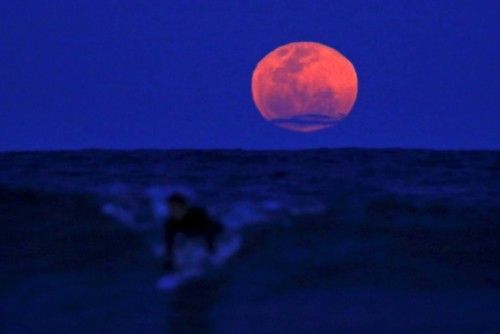 A surfer catches a wave on his board as a super moon rises in the sky off Manly Beach in Sydney