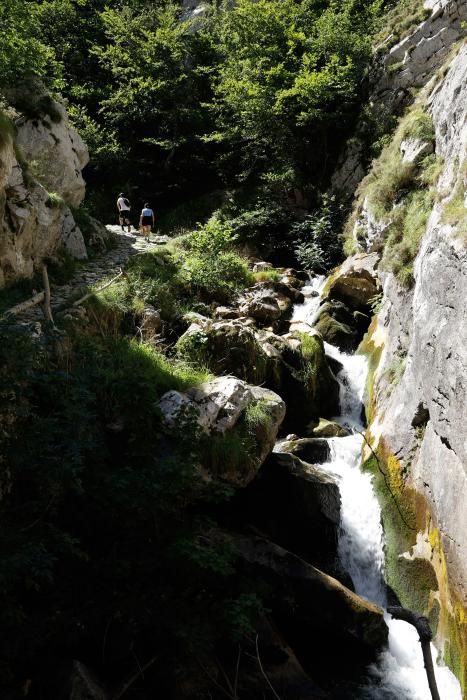 Rutas por Asturias: por las Foces de El Pino