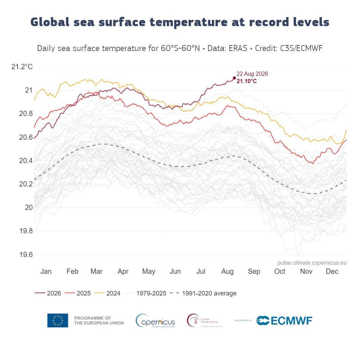 Temperatura superficial diaria del mar (°C) promediada sobre el océano global extrapolar (60°S–60°N) para 2024 (amarillo), 2025 (naranja) y 2026 (rojo). Todos los demás años entre 1979 y 2023 se muestran con líneas grises. El promedio diario para el período de referencia 1991–2020 se muestra con una línea gris discontinua.