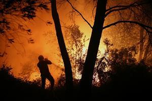 Un bomber lluita contra les flames al municipi de Foixà.