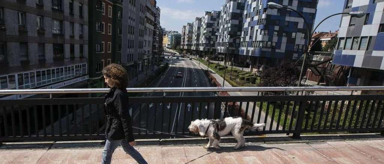Una mujer, ayer, paseando al perro por el puente de Viaducto Marquina.