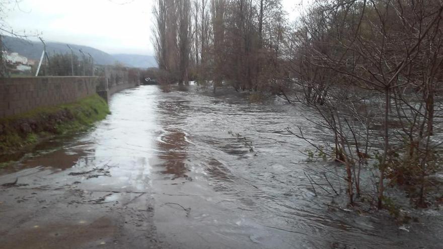 Inundados los paseos de la margen izquierda del río Jerte a su paso por Plasencia