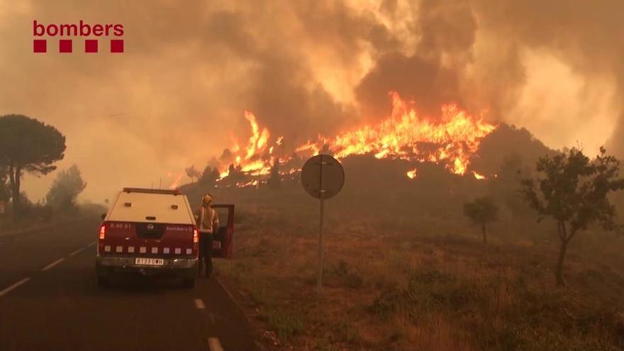 Bombers de la Generalitat: fases d'un incendi forestal